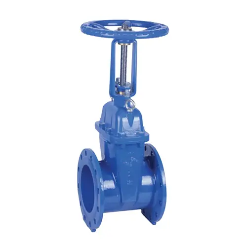 BS 5163 วาล์ว OS & Y Valve