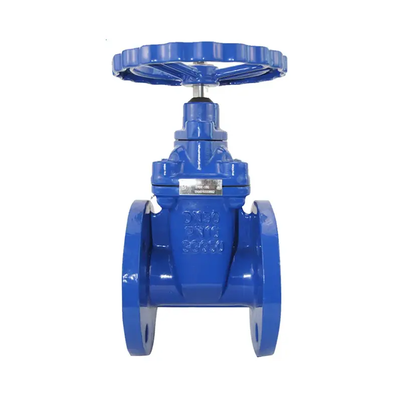 Soft-sealed Gate Valve